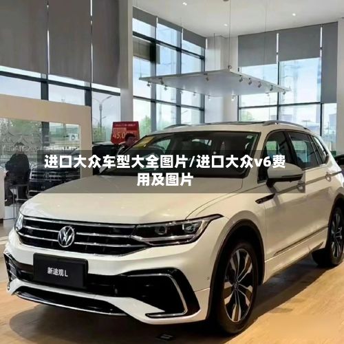 进口大众车型大全图片/进口大众v6费用及图片-第2张图片