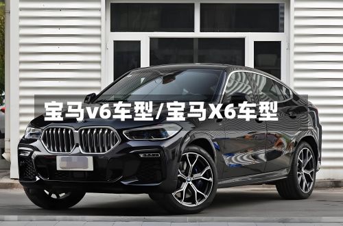 宝马v6车型/宝马X6车型-第2张图片