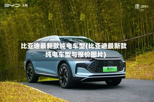 比亚迪最新款纯电车型(比亚迪最新款纯电车型与报价图片)-第2张图片