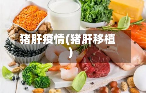 猪肝疫情(猪肝移植)-第2张图片