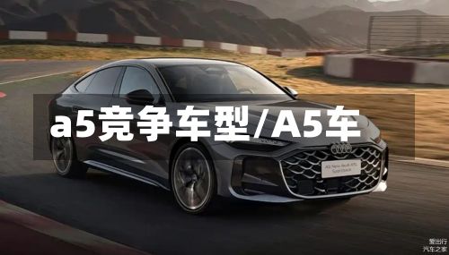 a5竞争车型/A5车