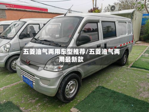 五菱油气两用车型推荐/五菱油气两用最新款-第3张图片