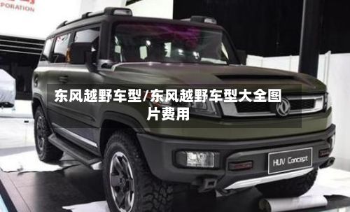 东风越野车型/东风越野车型大全图片费用-第2张图片