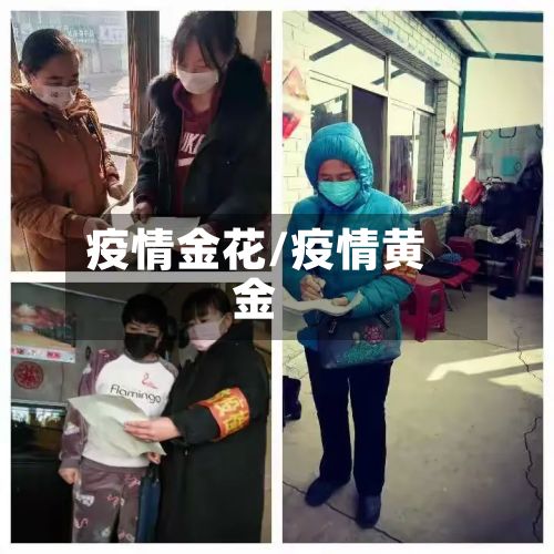 疫情金花/疫情黄金